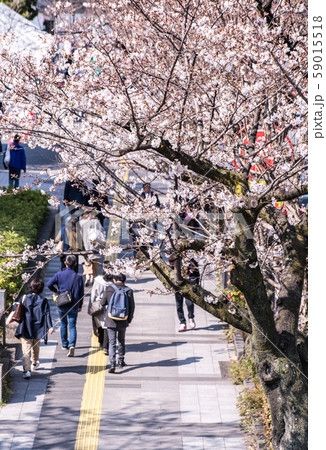 CHIYODA, TOKYO PREFECTURE, JAPAN - March 27, 2019 CHIYODA, TOKYO PREFECTURE, JAPAN - March 27, 2019 59015518