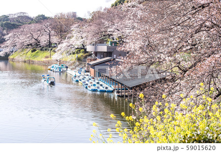 CHIYODA, TOKYO PREFECTURE, JAPAN - March 27, 2019 CHIYODA, TOKYO PREFECTURE, JAPAN - March 27, 2019 59015620