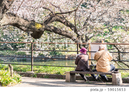 cherry blossom at chidori ga fuchi, tokyo, japan 59015653