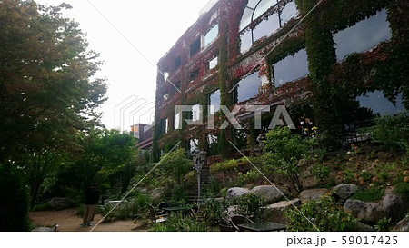写真撮影 撮影 撮影中 59017425