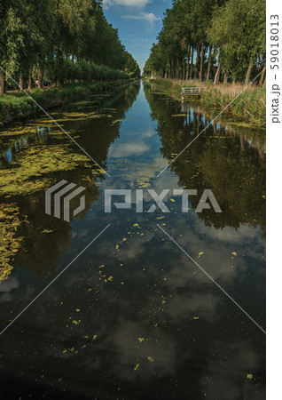 Bushes and grove along canal with sky reflected on water Bushes and grove along canal with sky reflected on water 59018013