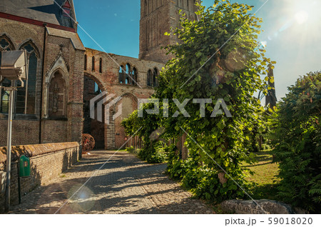 Pathway with trees in garden of church ruins at Damme 59018020