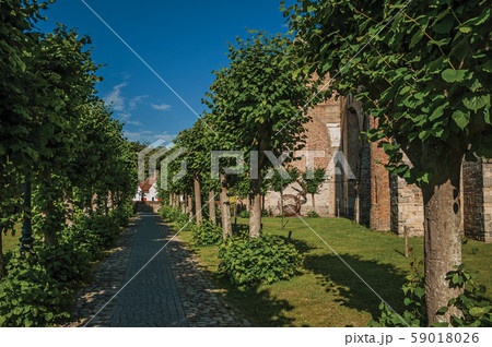 Pathway with trees in garden of church ruins at Damme 59018026