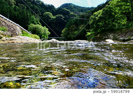 晩夏の清流・大芦川 59018799