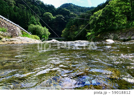 晩夏の清流・大芦川 59018812