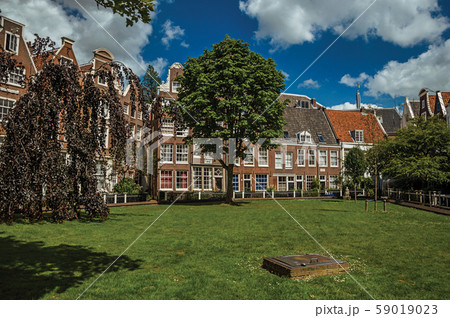 Typical houses and green garden at Begijnhof in Amsterdam 59019023