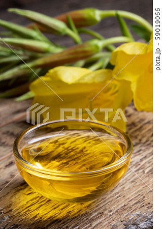 A bowl of evening primrose oil with fresh blooming evening primrose plant 59019066