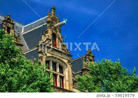 Building facade decoration with treetops in Amsterdam Building facade decoration with treetops in Amsterdam 59019579