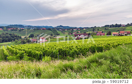 Summer Slovenian landscape near Maribor, Slovenia. 59019712