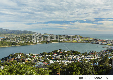 ニュージーランド ウェリントン マウント・ビクトリアからのウェリントン空港 ニュージーランド ウェリントン マウント・ビクトリアからのウェリントン空港 59021151