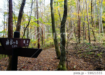 榛名山　掃部ヶ岳への登山道　硯岩への分岐 59021555