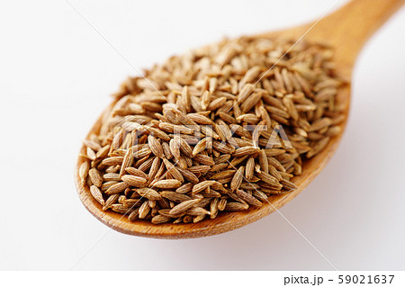 クミンシード クミンシード 59021637