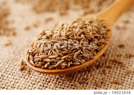 クミンシード クミンシード 59021638