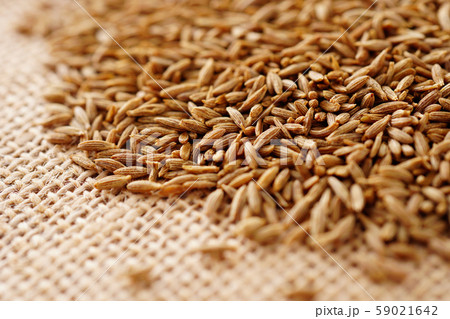 クミンシード クミンシード 59021642