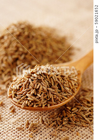 クミンシード クミンシード 59021652