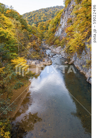 秋の定山渓 二見吊橋からの眺め 秋の定山渓 二見吊橋からの眺め 59022496