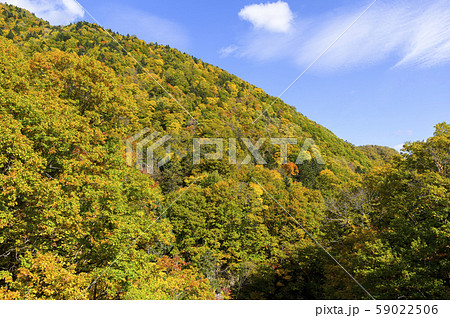 秋の定山渓 時雨橋からの眺め 秋の定山渓 時雨橋からの眺め 59022506