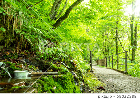 トレッキングコース　水飲み場 59022588