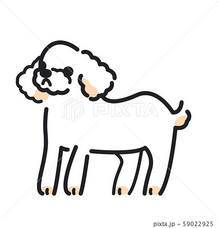 犬 ポーズ 表情 横 トイプードルのイラスト素材