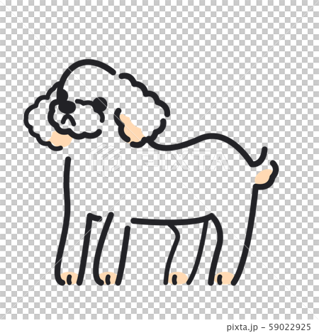 犬 ポーズ 表情 横 トイプードルのイラスト素材