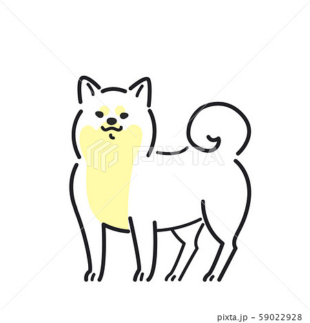 犬 ポーズ 表情 横 柴犬のイラスト素材