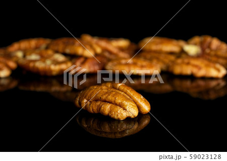 Dry brown pecan nut isolated on black glass Dry brown pecan nut isolated on black glass 59023128