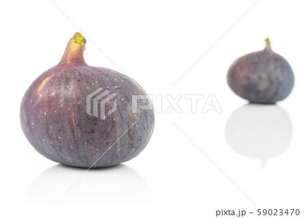 Fresh purple fig isolated on white Fresh purple fig isolated on white 59023470