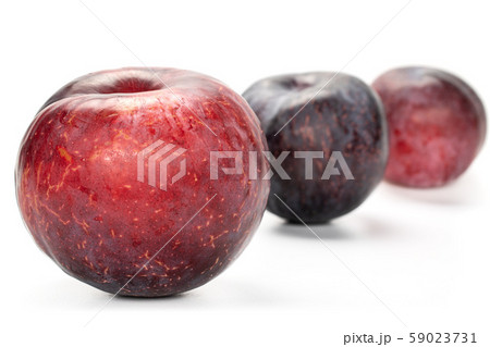 Fresh red plum isolated on white Fresh red plum isolated on white 59023731