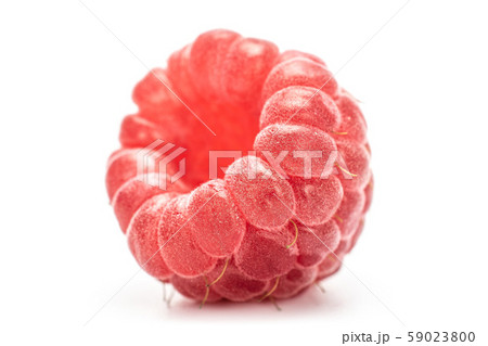 Fresh crimson raspberry isolated on white 59023800
