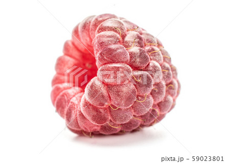 Fresh crimson raspberry isolated on white 59023801
