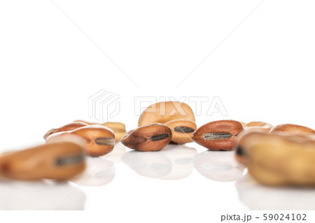 Fresh brown bean isolated on white 59024102