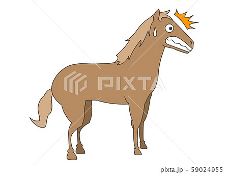 動物 子馬 驚き 59024955