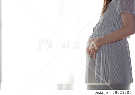 妊婦 妊婦 59025206