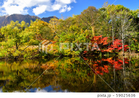 長野県・秋山郷の天池 長野県・秋山郷の天池 59025636