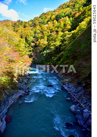 長野県・秋山郷の中津川渓谷 59025645