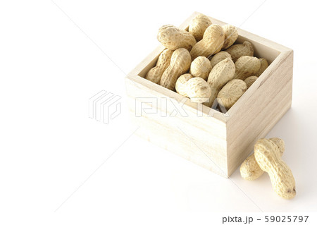 節分（落花生） 59025797