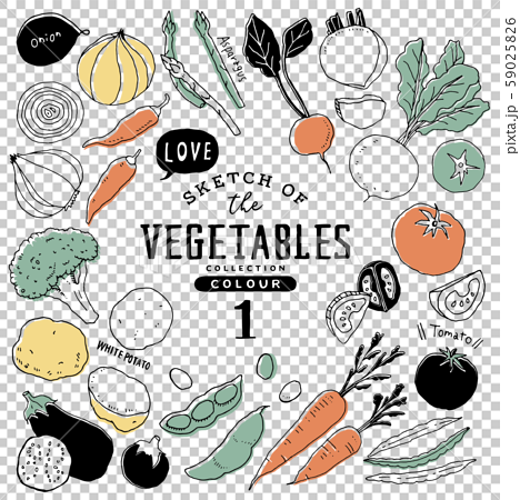 シンプルでオシャレな手描き野菜セット01 カラフルのイラスト素材