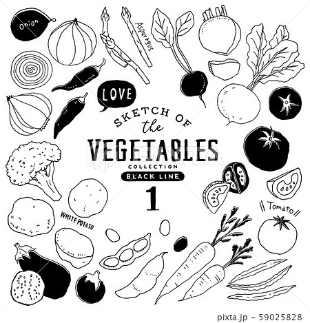シンプルでオシャレな手描き野菜セット01/ライン画のイラスト素材 [59025828] - Pixta