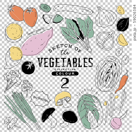 シンプルでオシャレな手描き野菜セット02 カラフルのイラスト素材