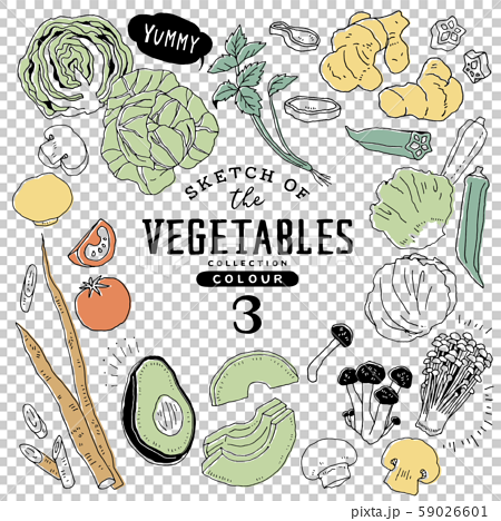 シンプルでオシャレな手描き野菜セット01 カラフルのイラスト素材