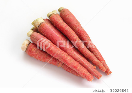 金時にんじん 59026842