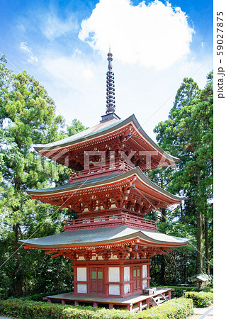 袋井　油山寺　三重塔 59027875