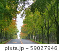 街路樹2 59027946