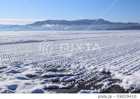 雪が積もった水田 雪が積もった水田 59029410