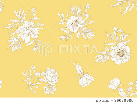 Peony flower. Seamless pattern, background. Peony flower. Seamless pattern, background. 59029986