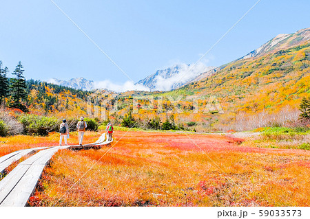 栂池自然園 （秋） 59033573