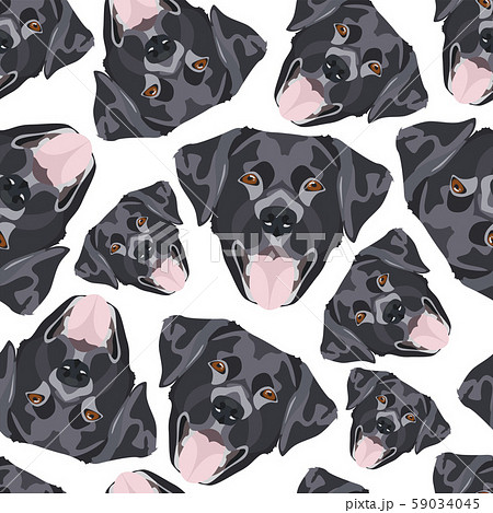 Illustration Seamless Pattern Black Labradorのイラスト素材