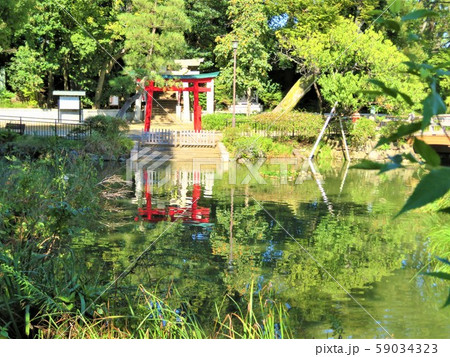 東京都大田区洗足池公園 千束八幡神社 東京都大田区洗足池公園 千束八幡神社 59034323