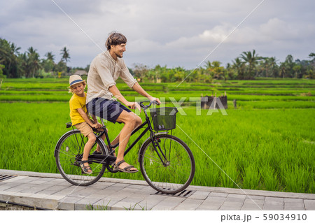 Father and son ride a bicycle on a rice field in Ubud, Bali. Travel to Bali with kids concept 59034910