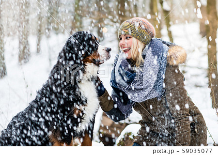 Woman walking her dog in the winter and both explore the snow together Woman walking her dog in the winter and both explore the snow together 59035077